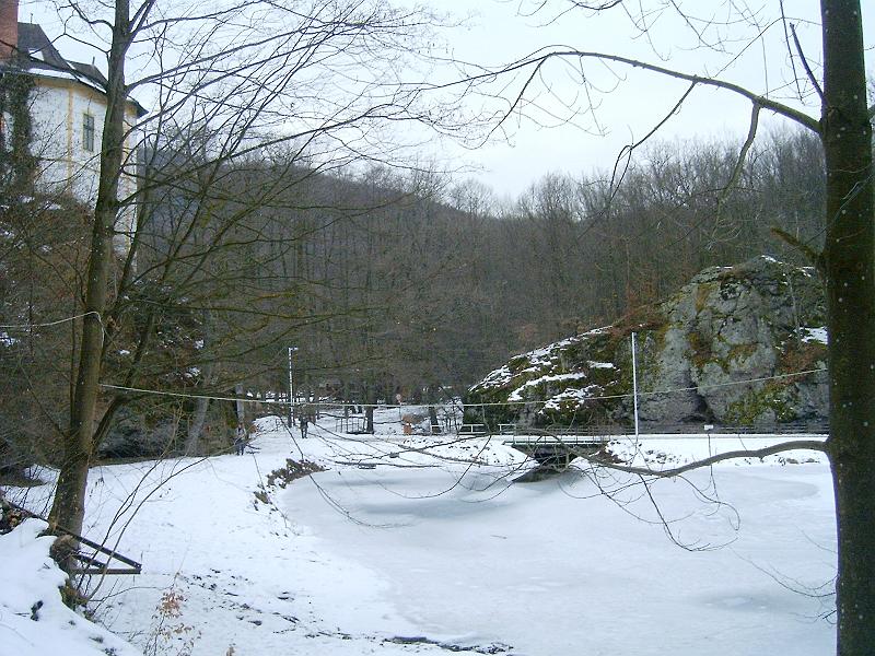 20110219 074.jpg
